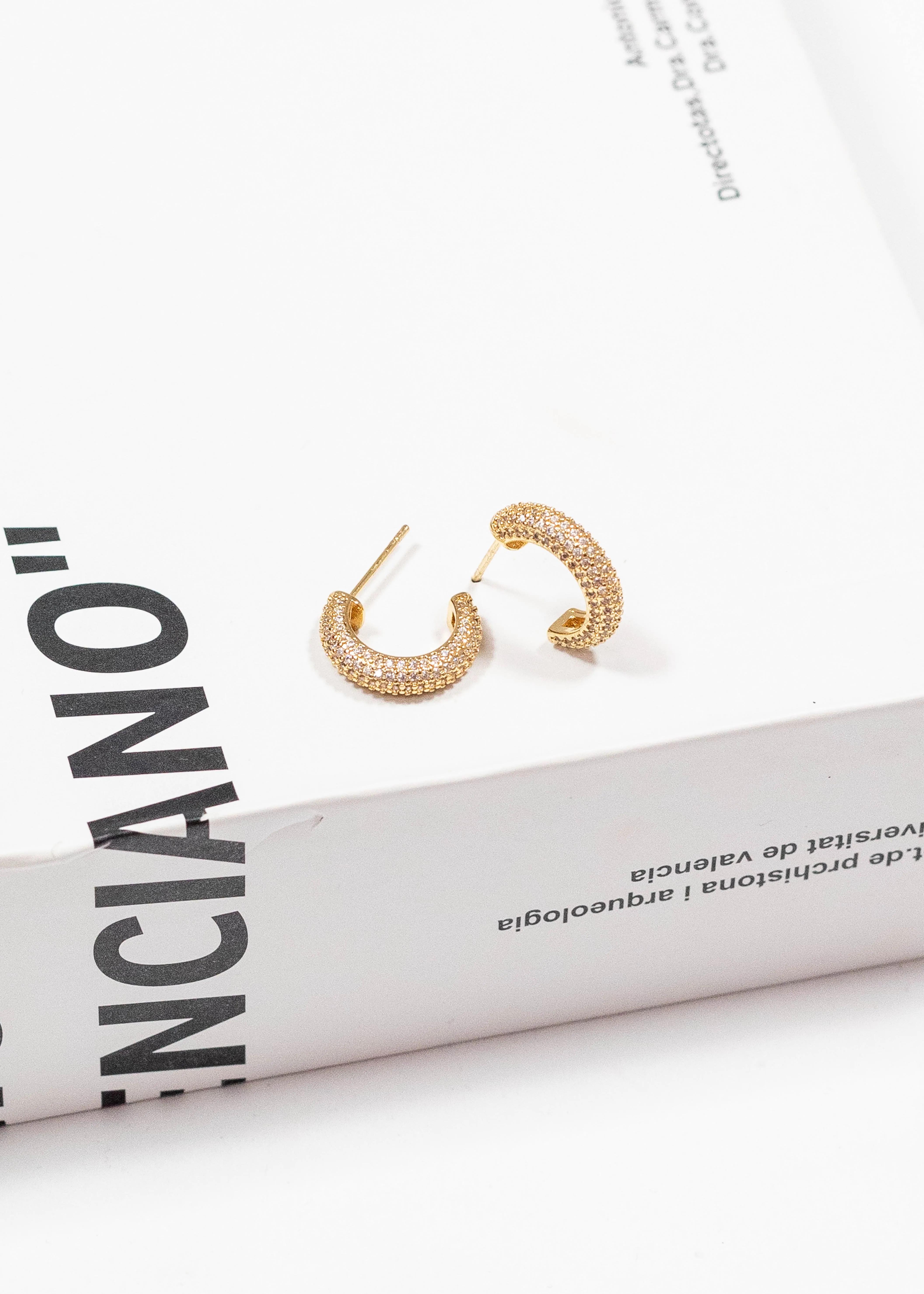 Fancy Hoop Earrings