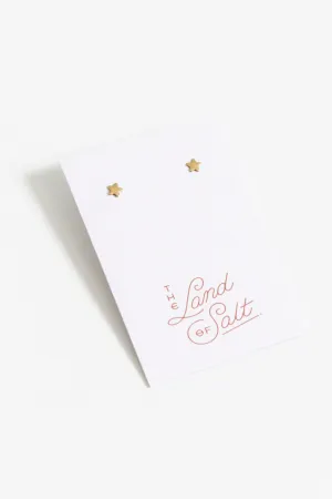 Tiny Star Stud Earrings